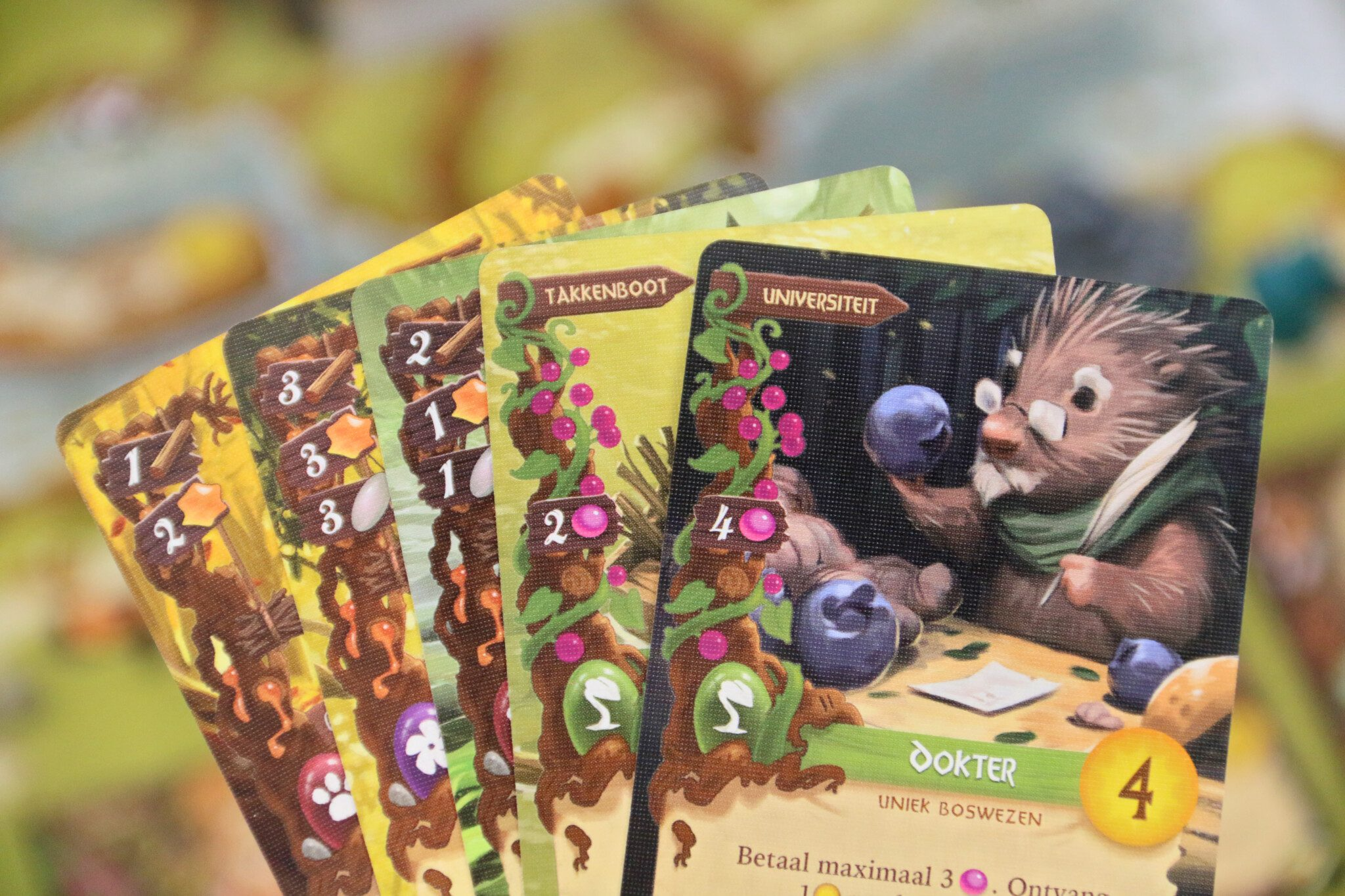 Everdell bordspel speelkaarten